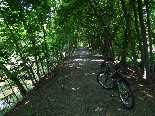 Bike & Cayuga st trail